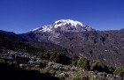 Kilimandžāro nacionālais parks Tanzānijā