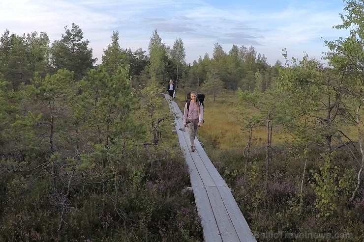 Travelnews.lv izbauda SUP saulrieta piedzīvojumu Cenas tīrelī 205836