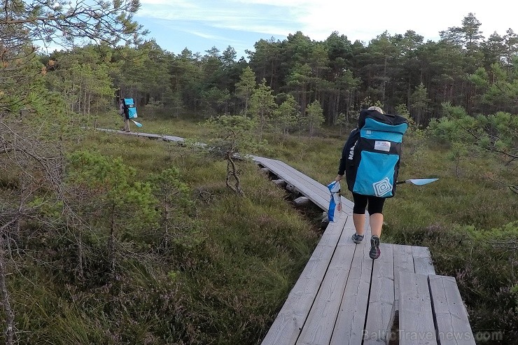 Travelnews.lv izbauda SUP saulrieta piedzīvojumu Cenas tīrelī 205839