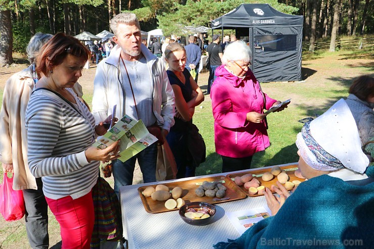 Rudens ražas svētkus svin Latvijas Etnogrāfiskais brīvdabas muzejā 207692