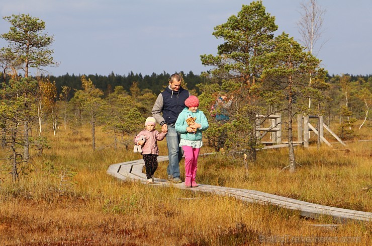 Travelnews.lv iziet un iepazīst Lielo Ķemeru tīreļa taku 208026