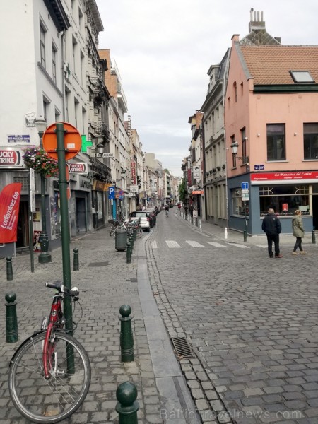 Visā Briselē regulāri redzami biznesiņi - gan restorāni, gan veikali, gan dažādas studijas u.c. Protams, arī daudz viesnīcu un cita veida dzīvība. Visā Briselē regulāri redzami biznesiņi - gan restorāni, gan veikali, gan dažādas studijas u.c. Protams, arī daudz viesnīcu un cita veida dzīvība. 208063