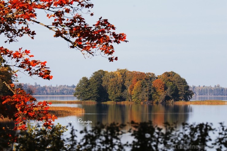 Alūksnē jau var izbaudīt Zelta rudeni. Foto: Jana Raga. 208530