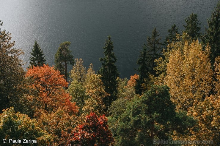 Alūksnē jau var izbaudīt Zelta rudeni. Foto: Paula Zariņa. 208539