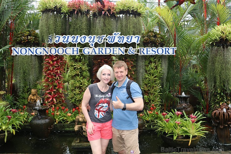 Travelnews.lv kopā ar «365 brīvdienas» un «Turkish Airlines» iepazīst tropu botānisko dārzu «Nong Nooch Tropical Garden» Travelnews.lv kopā ar «365 brīvdienas» un «Turkish Airlines» iepazīst tropu botānisko dārzu «Nong Nooch Tropical Garden» 208688