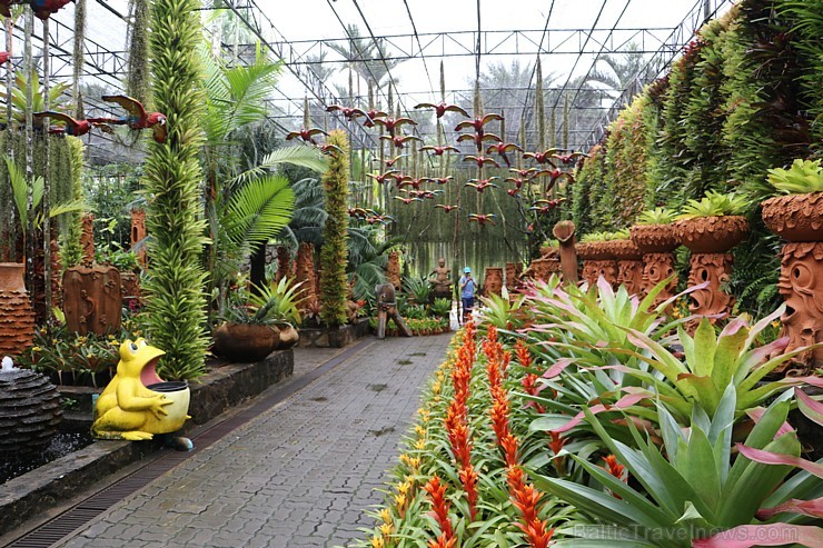Travelnews.lv kopā ar «365 brīvdienas» un «Turkish Airlines» iepazīst tropu botānisko dārzu «Nong Nooch Tropical Garden» Travelnews.lv kopā ar «365 brīvdienas» un «Turkish Airlines» iepazīst tropu botānisko dārzu «Nong Nooch Tropical Garden» 208689