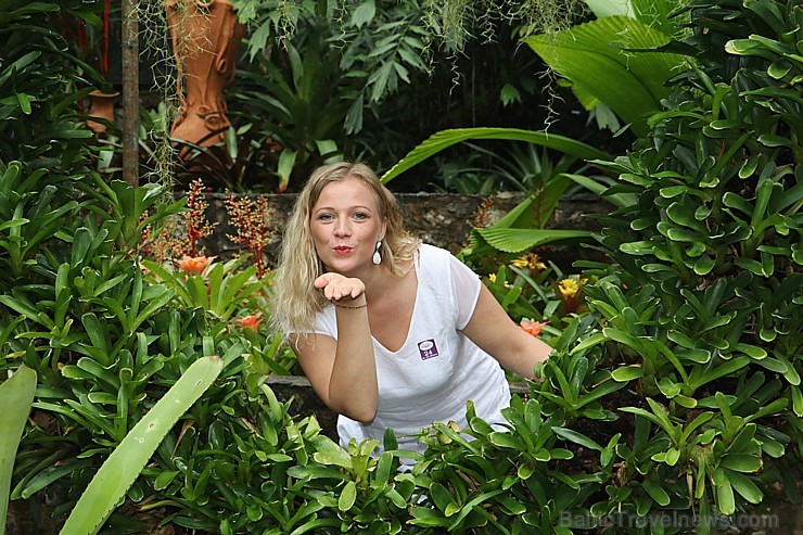 Travelnews.lv kopā ar «365 brīvdienas» un «Turkish Airlines» iepazīst tropu botānisko dārzu «Nong Nooch Tropical Garden» Travelnews.lv kopā ar «365 brīvdienas» un «Turkish Airlines» iepazīst tropu botānisko dārzu «Nong Nooch Tropical Garden» 208690