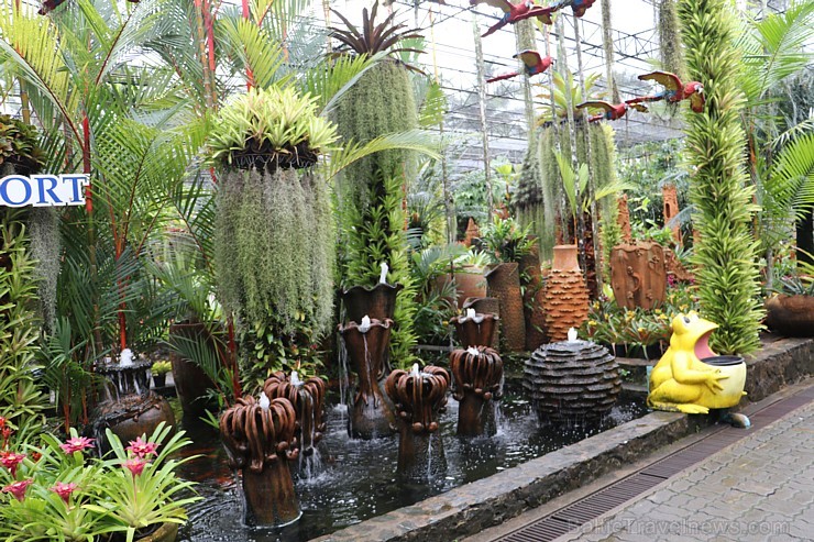 Travelnews.lv kopā ar «365 brīvdienas» un «Turkish Airlines» iepazīst tropu botānisko dārzu «Nong Nooch Tropical Garden» Travelnews.lv kopā ar «365 brīvdienas» un «Turkish Airlines» iepazīst tropu botānisko dārzu «Nong Nooch Tropical Garden» 208693
