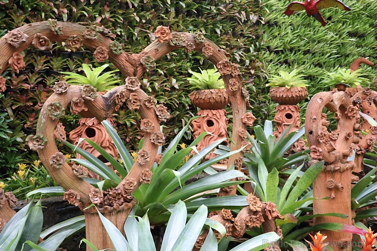 Travelnews.lv kopā ar «365 brīvdienas» un «Turkish Airlines» iepazīst tropu botānisko dārzu «Nong Nooch Tropical Garden» Travelnews.lv kopā ar «365 brīvdienas» un «Turkish Airlines» iepazīst tropu botānisko dārzu «Nong Nooch Tropical Garden» 208694