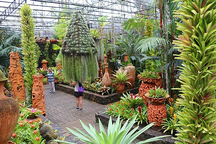 Travelnews.lv kopā ar «365 brīvdienas» un «Turkish Airlines» iepazīst tropu botānisko dārzu «Nong Nooch Tropical Garden» Travelnews.lv kopā ar «365 brīvdienas» un «Turkish Airlines» iepazīst tropu botānisko dārzu «Nong Nooch Tropical Garden» 208711
