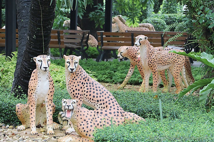 Travelnews.lv kopā ar «365 brīvdienas» un «Turkish Airlines» iepazīst tropu botānisko dārzu «Nong Nooch Tropical Garden» Travelnews.lv kopā ar «365 brīvdienas» un «Turkish Airlines» iepazīst tropu botānisko dārzu «Nong Nooch Tropical Garden» 208872