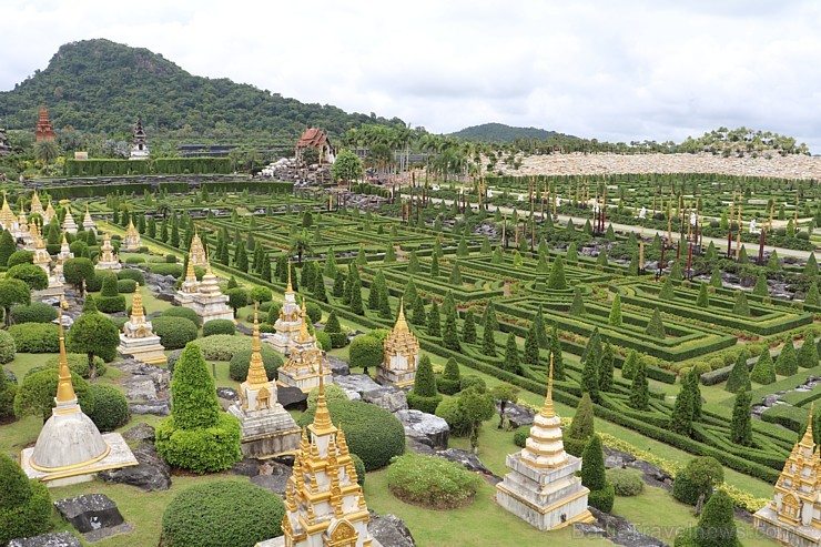Travelnews.lv kopā ar «365 brīvdienas» un «Turkish Airlines» iepazīst tropu botānisko dārzu «Nong Nooch Tropical Garden» Travelnews.lv kopā ar «365 brīvdienas» un «Turkish Airlines» iepazīst tropu botānisko dārzu «Nong Nooch Tropical Garden» 208892