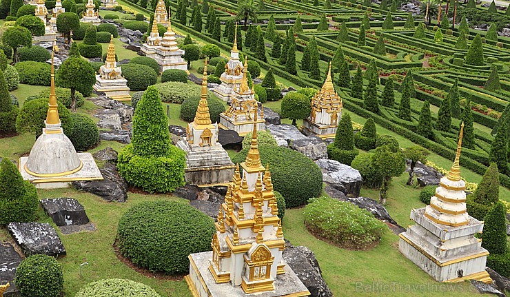 Travelnews.lv kopā ar «365 brīvdienas» un «Turkish Airlines» iepazīst tropu botānisko dārzu «Nong Nooch Tropical Garden» Travelnews.lv kopā ar «365 brīvdienas» un «Turkish Airlines» iepazīst tropu botānisko dārzu «Nong Nooch Tropical Garden» 208894