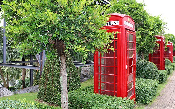 Travelnews.lv kopā ar «365 brīvdienas» un «Turkish Airlines» iepazīst tropu botānisko dārzu «Nong Nooch Tropical Garden» Travelnews.lv kopā ar «365 brīvdienas» un «Turkish Airlines» iepazīst tropu botānisko dārzu «Nong Nooch Tropical Garden» 208896