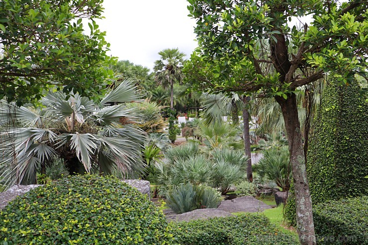 Travelnews.lv kopā ar «365 brīvdienas» un «Turkish Airlines» iepazīst tropu botānisko dārzu «Nong Nooch Tropical Garden» Travelnews.lv kopā ar «365 brīvdienas» un «Turkish Airlines» iepazīst tropu botānisko dārzu «Nong Nooch Tropical Garden» 208900