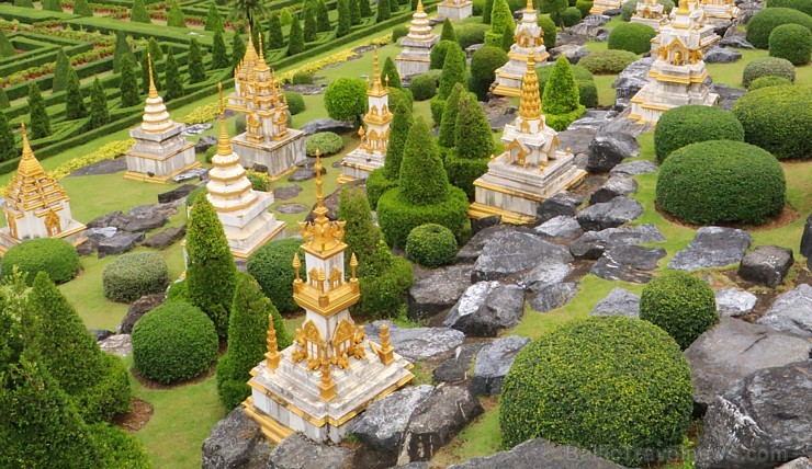 Travelnews.lv kopā ar «365 brīvdienas» un «Turkish Airlines» iepazīst tropu botānisko dārzu «Nong Nooch Tropical Garden» Travelnews.lv kopā ar «365 brīvdienas» un «Turkish Airlines» iepazīst tropu botānisko dārzu «Nong Nooch Tropical Garden» 208901