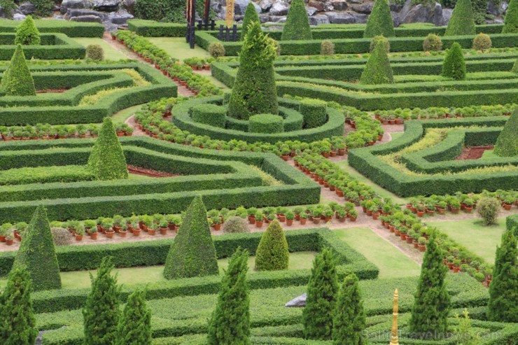 Travelnews.lv kopā ar «365 brīvdienas» un «Turkish Airlines» iepazīst tropu botānisko dārzu «Nong Nooch Tropical Garden» Travelnews.lv kopā ar «365 brīvdienas» un «Turkish Airlines» iepazīst tropu botānisko dārzu «Nong Nooch Tropical Garden» 208902