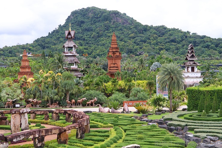 Travelnews.lv kopā ar «365 brīvdienas» un «Turkish Airlines» iepazīst tropu botānisko dārzu «Nong Nooch Tropical Garden» Travelnews.lv kopā ar «365 brīvdienas» un «Turkish Airlines» iepazīst tropu botānisko dārzu «Nong Nooch Tropical Garden» 208909