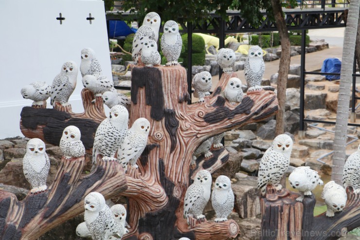 Travelnews.lv kopā ar «365 brīvdienas» un «Turkish Airlines» iepazīst tropu botānisko dārzu «Nong Nooch Tropical Garden» Travelnews.lv kopā ar «365 brīvdienas» un «Turkish Airlines» iepazīst tropu botānisko dārzu «Nong Nooch Tropical Garden» 208914
