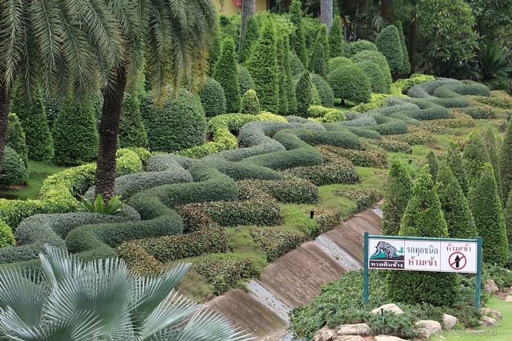 Travelnews.lv kopā ar «365 brīvdienas» un «Turkish Airlines» iepazīst tropu botānisko dārzu «Nong Nooch Tropical Garden» Travelnews.lv kopā ar «365 brīvdienas» un «Turkish Airlines» iepazīst tropu botānisko dārzu «Nong Nooch Tropical Garden» 208960