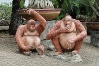 Travelnews.lv iepazīst tropu botānisko dārzu «Nong Nooch Tropical Garden» Taizemē