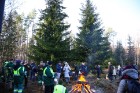 Izvēlētas Rīgas galvenās Ziemassvētku egles