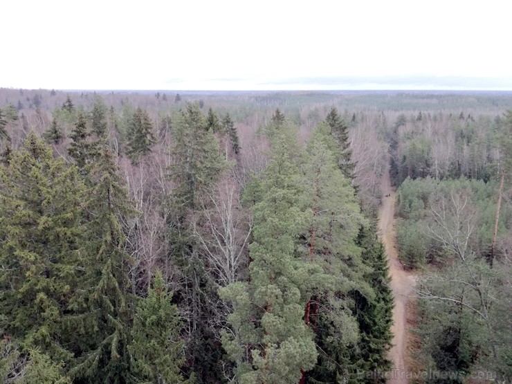 Travelnews.lv izstaigā brīnišķīgos Ogres Zilos kalnus 211865
