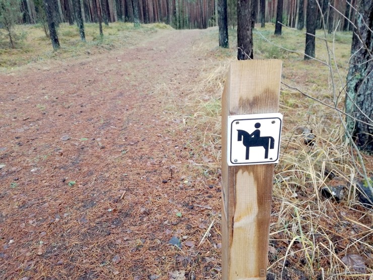 Travelnews.lv izstaigā brīnišķīgos Ogres Zilos kalnus 211883