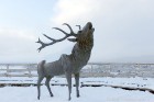 Ventspils «Lemberga hūtē» bauda sniegu, bet gaida salu, lai tas varētu noturēties