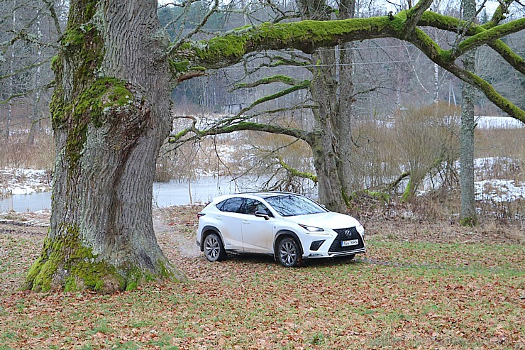 Travelnews.lv ar jauno krosoveru Lexus NX 300H ceļo uz Ungurmuižu 212977