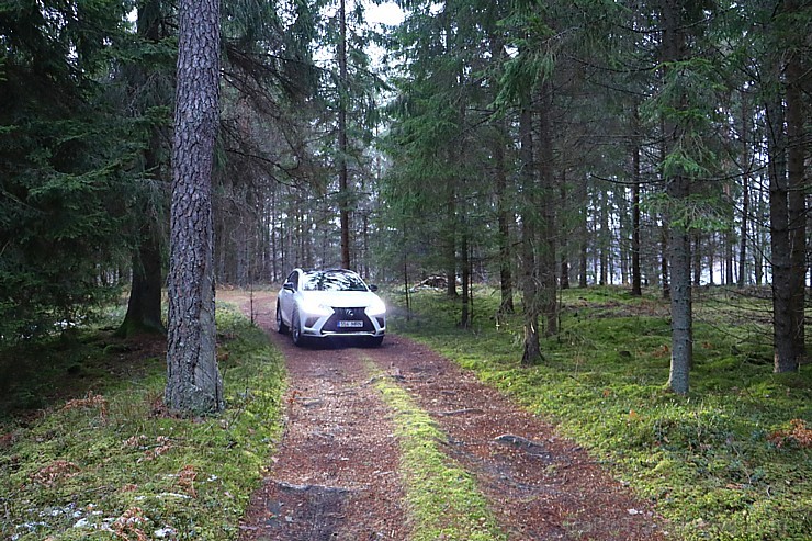 Travelnews.lv ar jauno krosoveru Lexus NX 300H ceļo uz Ungurmuižu 212994