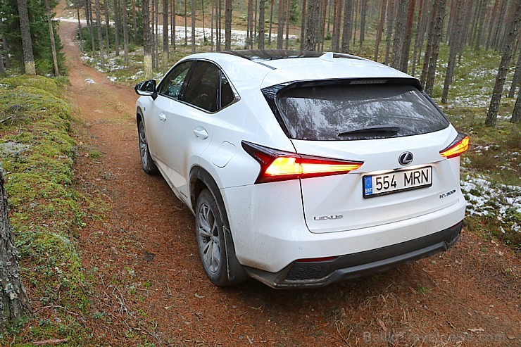 Travelnews.lv ar jauno krosoveru Lexus NX 300H ceļo uz Ungurmuižu 213001