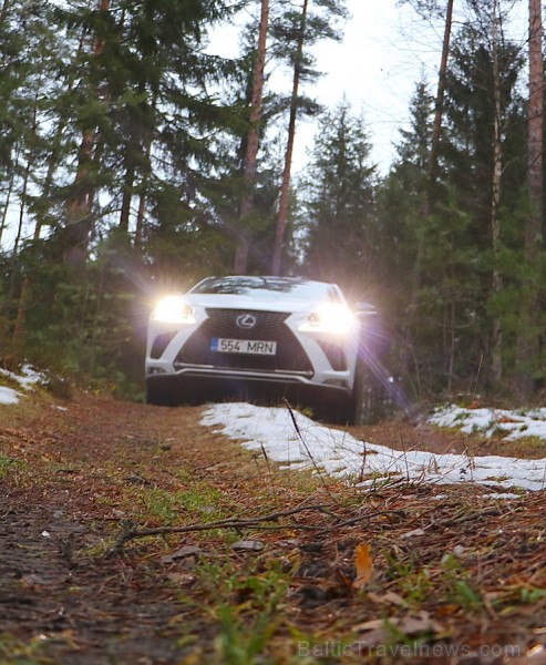 Travelnews.lv ar jauno krosoveru Lexus NX 300H ceļo uz Ungurmuižu 213002