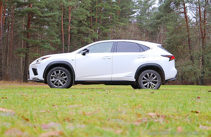 Travelnews.lv ar jauno krosoveru Lexus NX 300H ceļo uz Ungurmuižu 213006