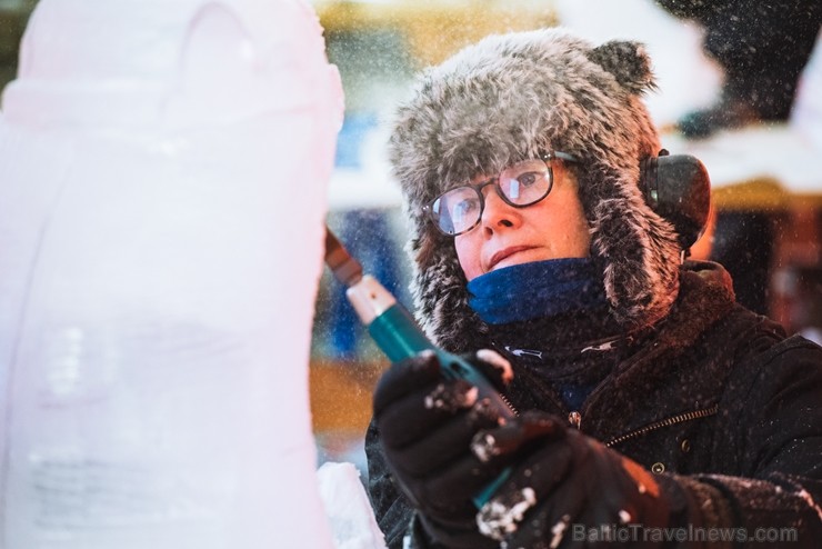 Jelgavā tapušas pirmās 30 ledus skulptūras 215946