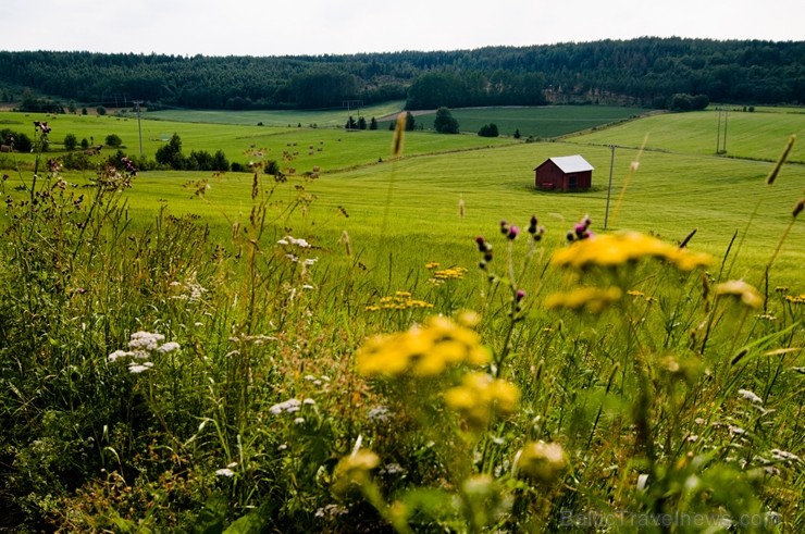 Iepazīsti Zviedrijas dabas dažādību. Foto: Helena Wahlman/imagebank.sweden.se 218767