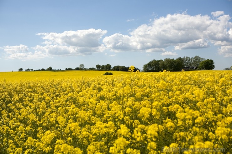 Iepazīsti Zviedrijas dabas dažādību. Foto: Miriam Preis/imagebank.sweden.se 218768