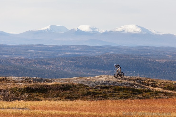 Iepazīsti Zviedrijas dabas dažādību. Foto: Niclas Vestefjell/imagebank.sweden.se 218772