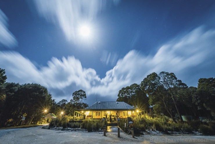 Iepazīsti skaisto Tasmanijas salu Austrālijā. Foto: Tarkine Wilderness Pty Ltd 219386