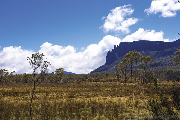 Iepazīsti skaisto Tasmanijas salu Austrālijā. Foto: Tasmanian Walking Company / Great Walks of Australia Iepazīsti skaisto Tasmanijas salu Austrālijā. Foto: Tasmanian Walking Company / Great Walks of Australia 219390