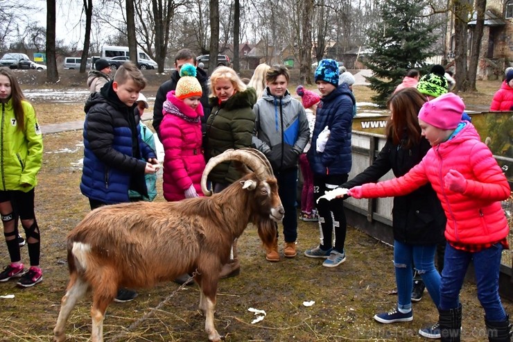 Jēkabpilī norisinās jautrs Lieldienu pasākums 220242