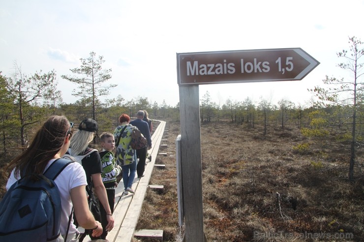 Travelnews.lv kopā ar «Dabas Sporta Zāli» dodas pārgājienā pa Ķemeru Nacionālo parku 220708