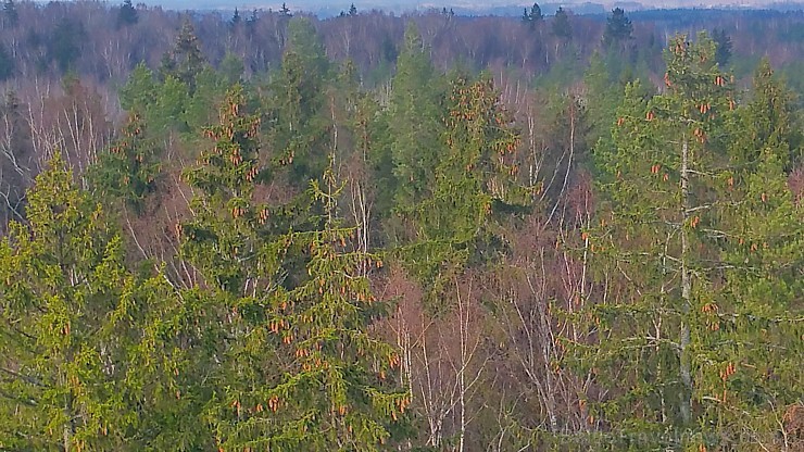 Travelnews.lv ar velosipēdiem izbrauc pavasarīgos Ogres Zilos kalnus 220967