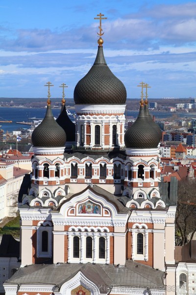 Travelnews.lv kopā ar igauņiem 21.04.2018. apmeklē ikdienā nepieejamo Rīgikogu ēku. Atbalsta: Hotel Schlössle Travelnews.lv kopā ar igauņiem 21.04.2018. apmeklē ikdienā nepieejamo Rīgikogu ēku. Atbalsta: Hotel Schlössle 221122