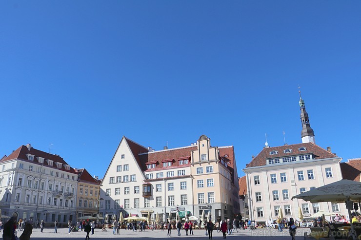 Travelnews.lv kopā ar Tallinas tūristiem iepazīst Igaunijas galvaspilsētu. Atbalsta: Hotel Schlössle Travelnews.lv kopā ar Tallinas tūristiem iepazīst Igaunijas galvaspilsētu. Atbalsta: Hotel Schlössle 221322