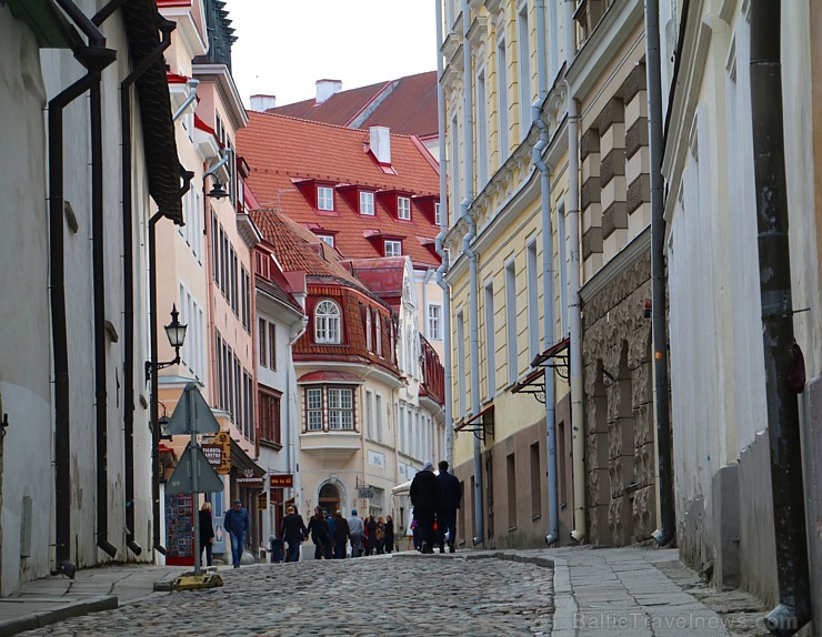 Travelnews.lv kopā ar Tallinas tūristiem iepazīst Igaunijas galvaspilsētu. Atbalsta: Hotel Schlössle Travelnews.lv kopā ar Tallinas tūristiem iepazīst Igaunijas galvaspilsētu. Atbalsta: Hotel Schlössle 221337