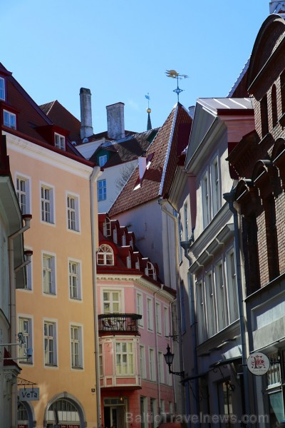 Travelnews.lv kopā ar Tallinas tūristiem iepazīst Igaunijas galvaspilsētu. Atbalsta: Hotel Schlössle Travelnews.lv kopā ar Tallinas tūristiem iepazīst Igaunijas galvaspilsētu. Atbalsta: Hotel Schlössle 221363
