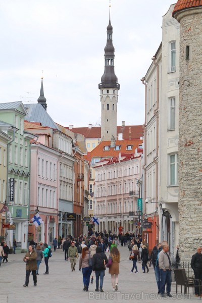 Travelnews.lv kopā ar Tallinas tūristiem iepazīst Igaunijas galvaspilsētu. Atbalsta: Hotel Schlössle Travelnews.lv kopā ar Tallinas tūristiem iepazīst Igaunijas galvaspilsētu. Atbalsta: Hotel Schlössle 221366