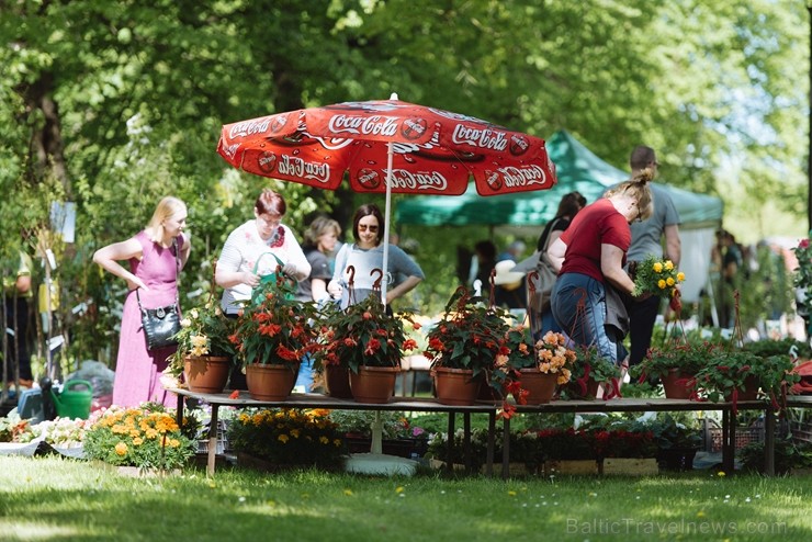 Jelgavas pilsētā notiek Latvijas Stādu dienas 222789