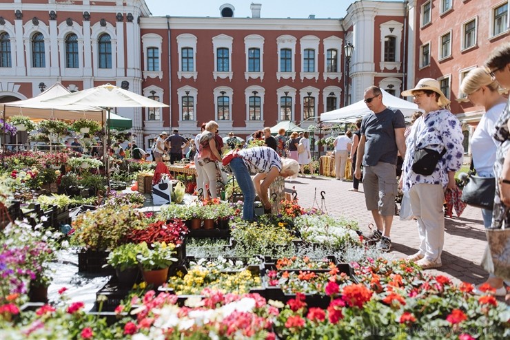 Jelgavas pilsētā notiek Latvijas Stādu dienas 222806